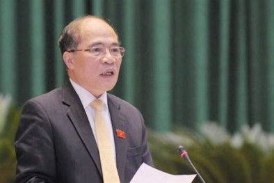 Hiến pháp đã thể hiện tinh thần đổi mới